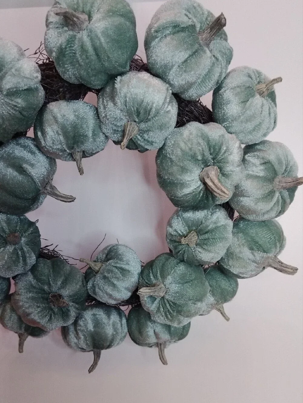 Velvet Teal Pumpkin 9